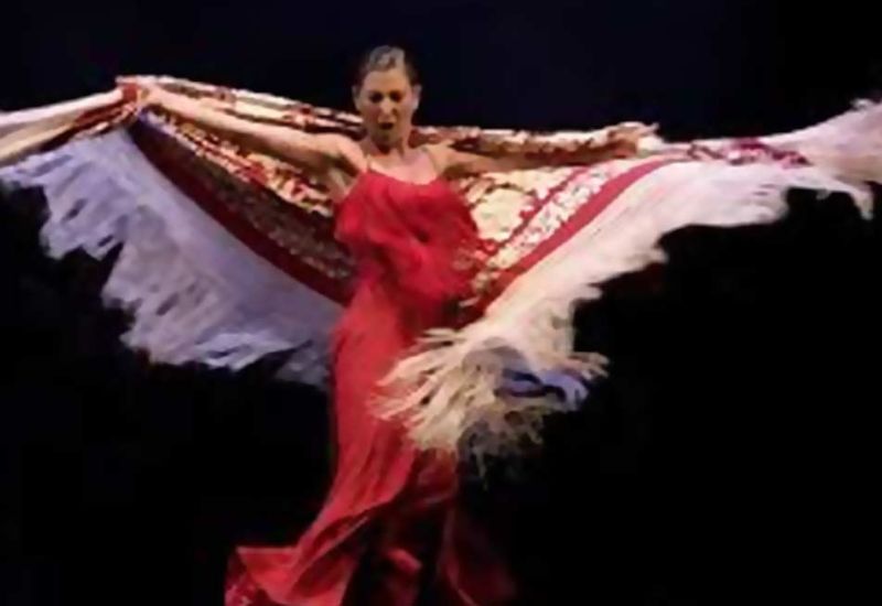 Sara Pereyra Baras ed il suo stile flamenco