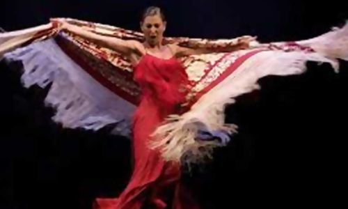 Sara Pereyra Baras ed il suo stile flamenco